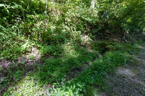 lot35 E Cliff Rd, Cullowhee, NC 28723 photo 4