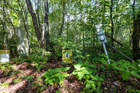 lot35 E Cliff Rd, Cullowhee, NC 28723 photo 11