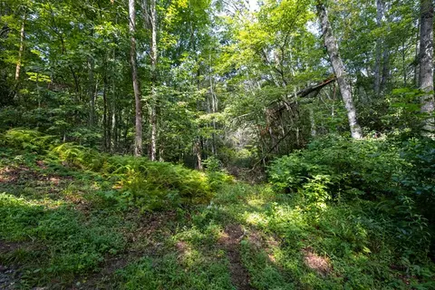 lot35 E Cliff Rd, Cullowhee, NC 28723 photo 12