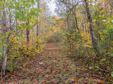 110 Ruby Ridge Rd, Franklin, NC 28734 photo 61