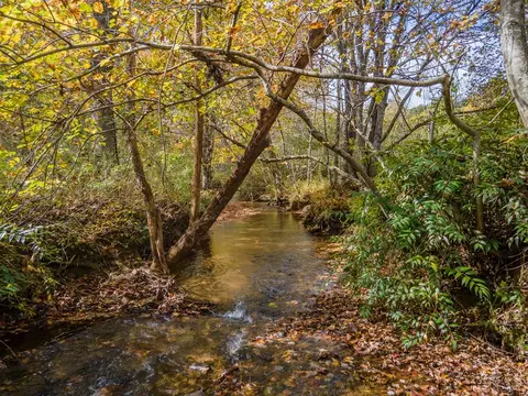 110 Ruby Ridge Rd, Franklin, NC 28734 photo 6