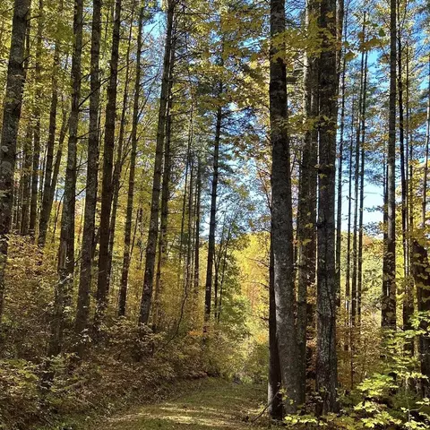 0000 Bear Lake Cir, Bryson City, NC 28789