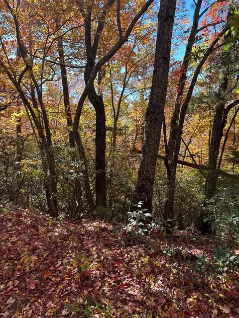 Undisclosed, Franklin, NC 28734