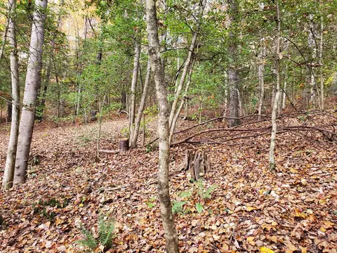 00 Coffee Tree Ln, Franklin, NC 28734