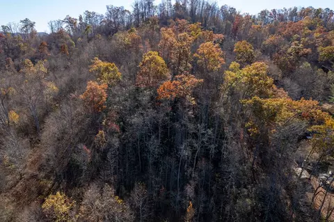 170 Painter St, Sylva, NC 28779 photo 37