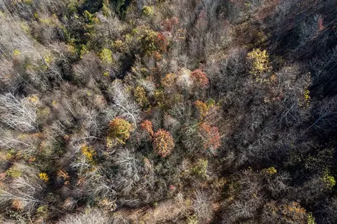 170 Painter St, Sylva, NC 28779 photo 38