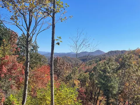 Lot 32 Turkey Run, Bryson City, NC 28713