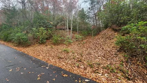lot46 Trimont Lake Estates Rd, Franklin, NC 28734
