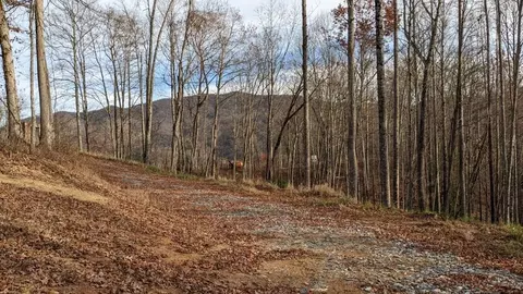 Lot #8 Windy Ridge Lane, Topton, NC 28781
