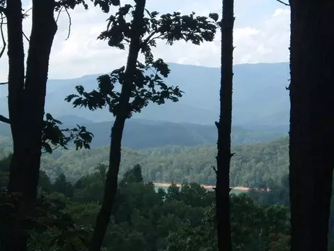 96 Wild Orchid Trl # -2, Bryson City, NC 28713