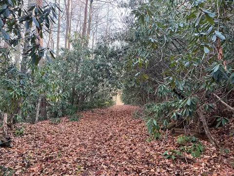 00 Keepsake Ln #345, Whittier, NC 28789