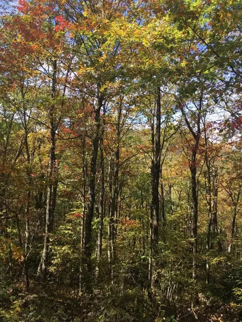 0 Buckhead Dr, Cullowhee, NC 28723