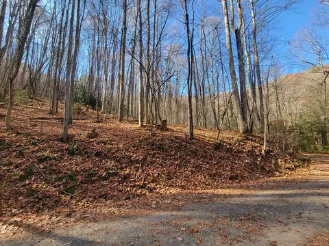 23 Forbidden Cv, Waynesville, NC 28785