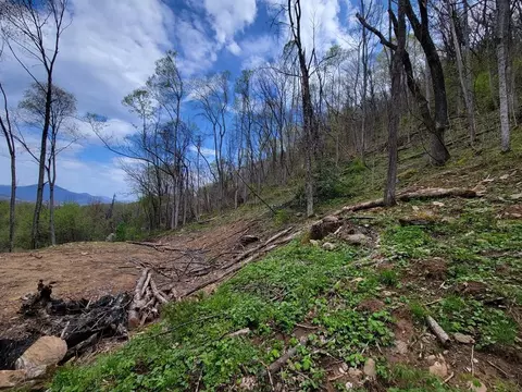 145 Patchens Estate Rd, Waynesville, NC 28786