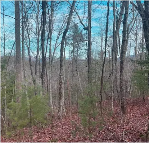 90 Golden Falls Dr, Franklin, NC 28734