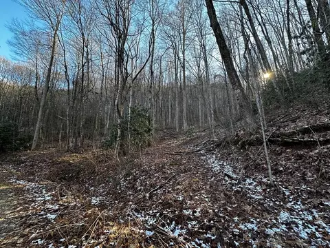 lot4 7 Osceola Cir, Waynesville, NC 28786