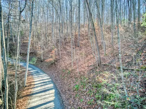 000 Turtle Creek Rd, Sylva, NC 28779 photo 2