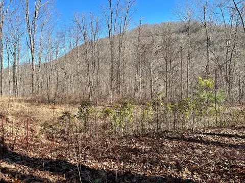 Lot 44 Coppermine Ridge, Whittier, NC 28789