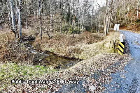 231 Chestnut Cove Rd, Sylva, NC 28779 photo 55