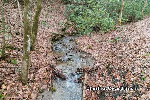 231 Chestnut Cove Rd, Sylva, NC 28779 photo 8