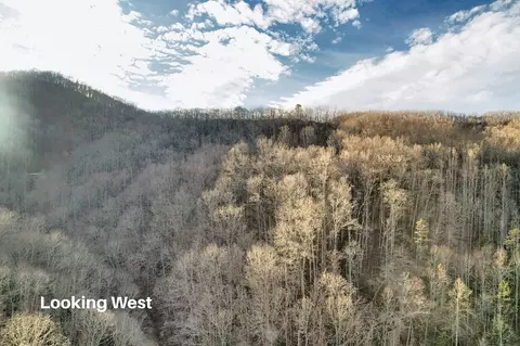 231 Chestnut Cove Rd, Sylva, NC 28779 photo 67