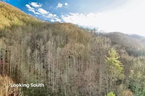 231 Chestnut Cove Rd, Sylva, NC 28779 photo 66