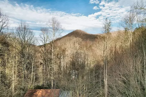231 Chestnut Cove Rd, Sylva, NC 28779 photo 63