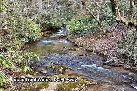 231 Chestnut Cove Rd, Sylva, NC 28779 photo 4