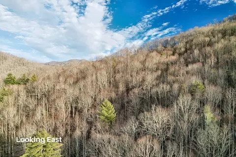 231 Chestnut Cove Rd, Sylva, NC 28779 photo 65