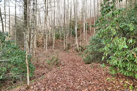231 Chestnut Cove Rd, Sylva, NC 28779 photo 13