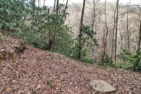 231 Chestnut Cove Rd, Sylva, NC 28779 photo 50