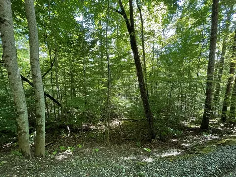 lot14 Shady Vale, Bryson City, NC 28713