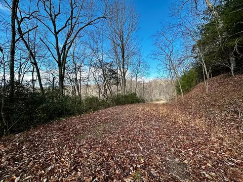 lot47 N Nickajack Rd, Franklin, NC 28734