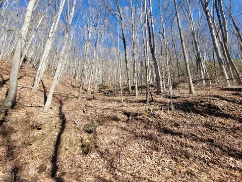 00 Forest Dr, Franklin, NC 28734 photo 3