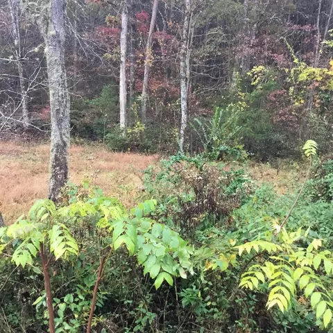 00 Paul Cooper Rd, Whittier, NC 28789
