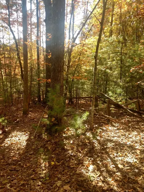 300 Tabby Ln, Murphy, NC 28906