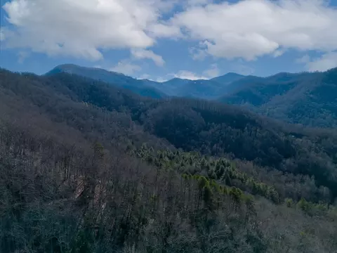 0 Early Deitz Rd, Sylva, NC 28779 photo 9