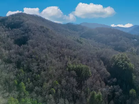 0 Early Deitz Rd, Sylva, NC 28779 photo 7