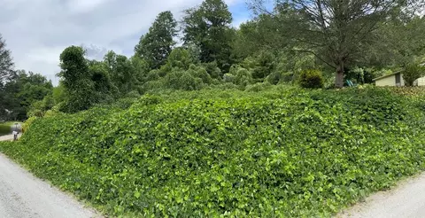 00 Shook Rd, Bryson City, NC 28713