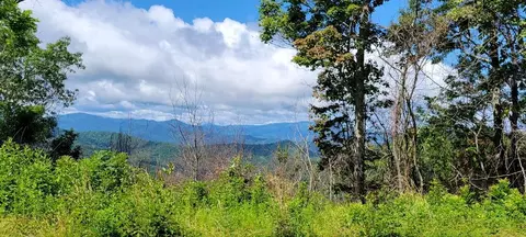 lot11 Off Rushing Fls, Bryson City, NC 28713