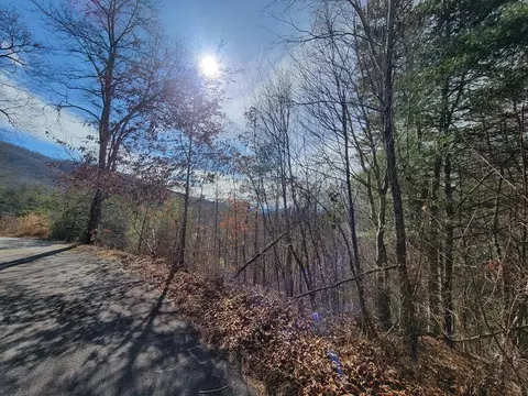 110 Curly Maple Dr #LOT 4, Canton, NC 28716
