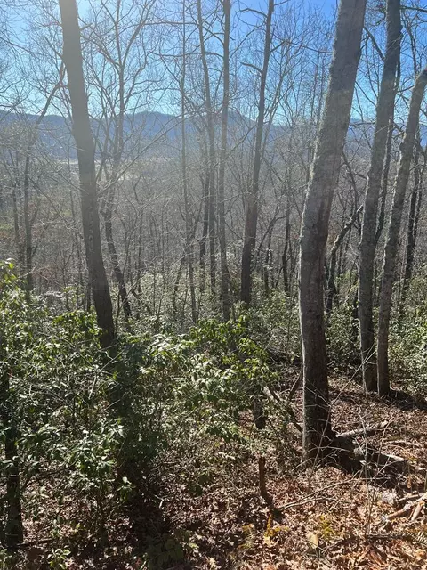 501 Springbrook Dr, Franklin, NC 28734