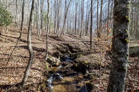 lot79 Pasture Rd, Glenville, NC 28736