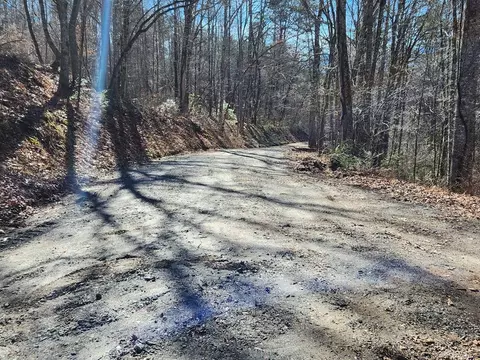 286 Dynasty Dr, Whittier, NC 28789