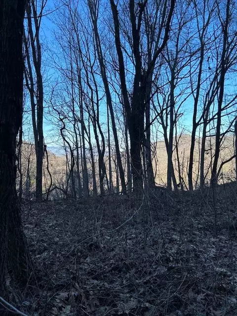 Na Pepsi Hts, Sylva, NC 28789