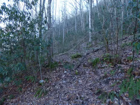 000 Lori Ln, Whittier, NC 28789