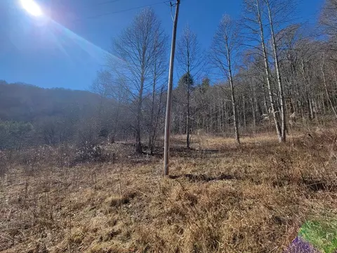 150 Puppy Dog Rd, Waynesville, NC 28785