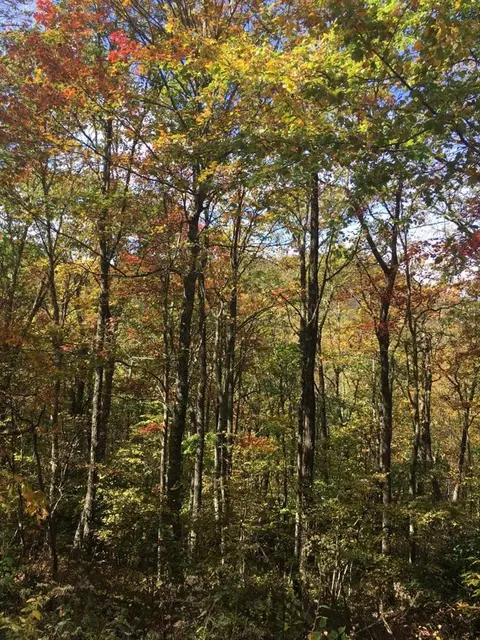 0 Buckhead Dr #LOT 2, Cullowhee, NC 28723