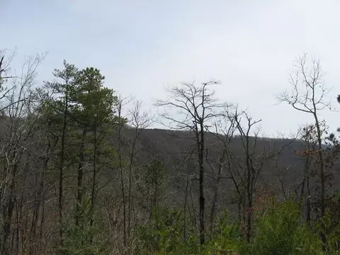 5901 Ela Rd, Bryson City, NC 28713