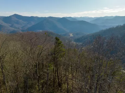 Tbd Almanac Lane, Tuckasegee, NC 27883